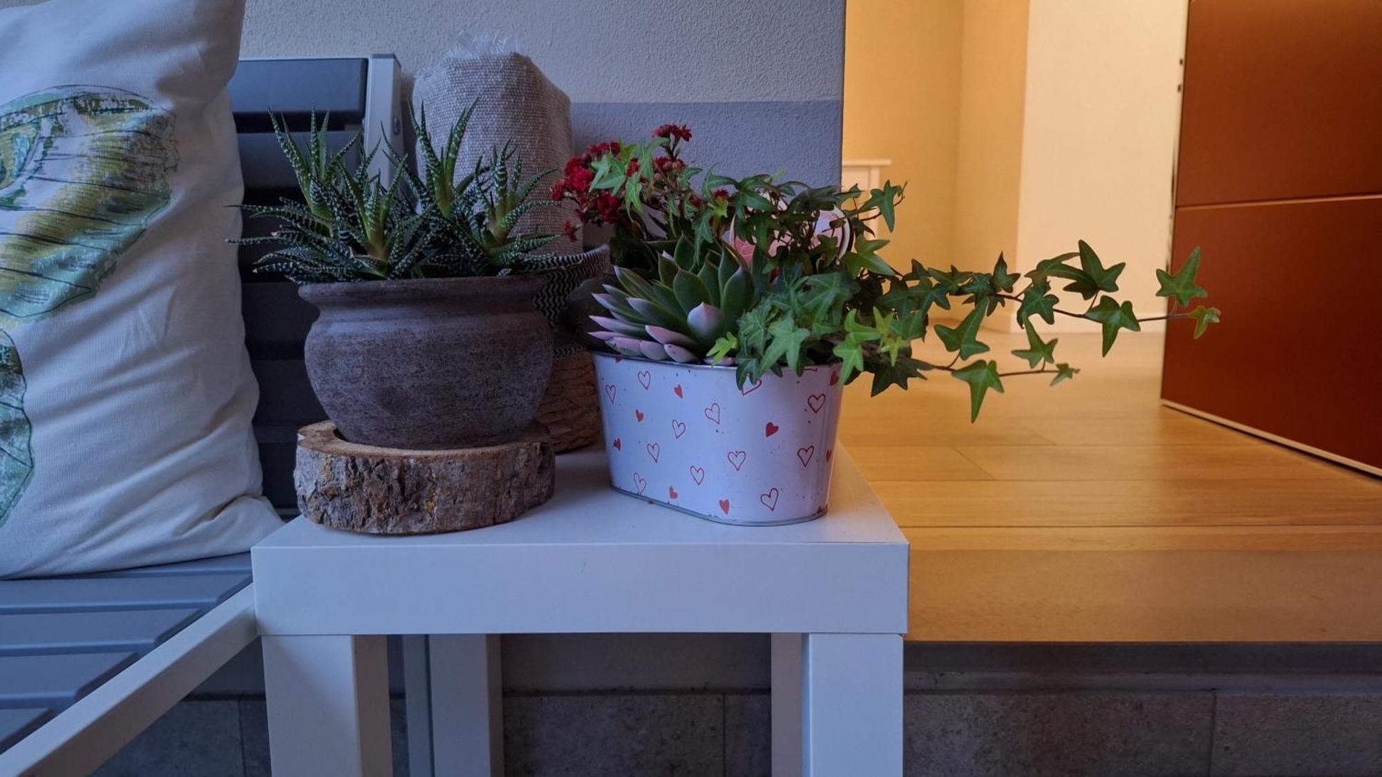 La Tana Del Geco Bed & Breakfast Iseo Exterior photo